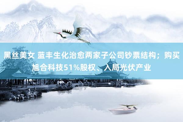 黑丝美女 蓝丰生化治愈两家子公司钞票结构；购买旭合科技51%股权、入局光伏产业