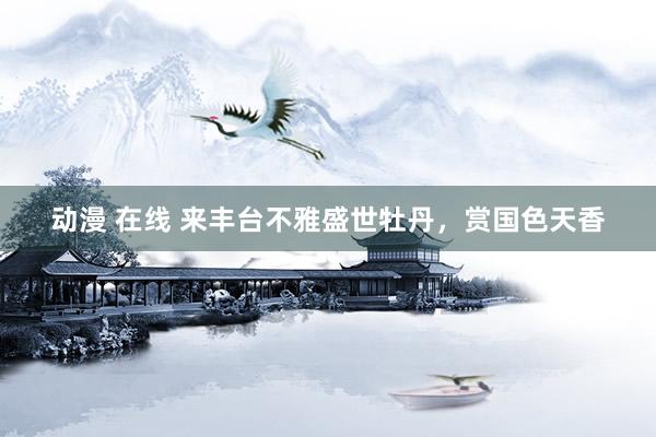 动漫 在线 来丰台不雅盛世牡丹，赏国色天香