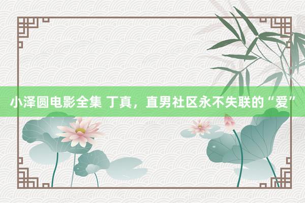 小泽圆电影全集 丁真，直男社区永不失联的“爱”