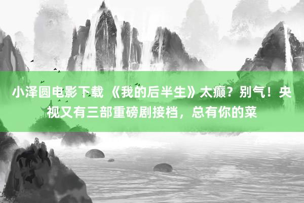小泽圆电影下载 《我的后半生》太癫？别气！央视又有三部重磅剧接档，总有你的菜