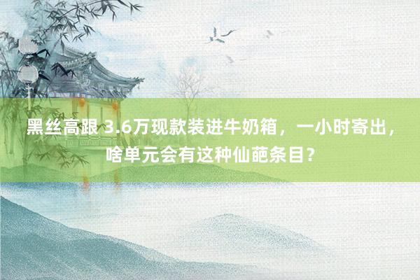 黑丝高跟 3.6万现款装进牛奶箱，一小时寄出，啥单元会有这种仙葩条目？