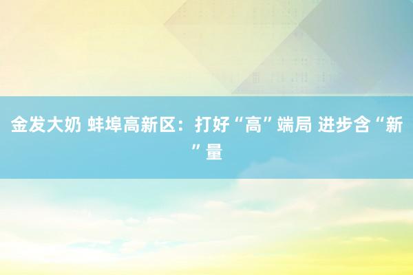金发大奶 蚌埠高新区：打好“高”端局 进步含“新”量
