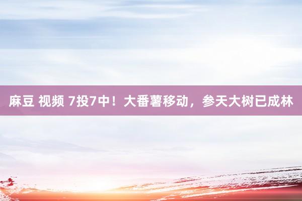 麻豆 视频 7投7中！大番薯移动，参天大树已成林