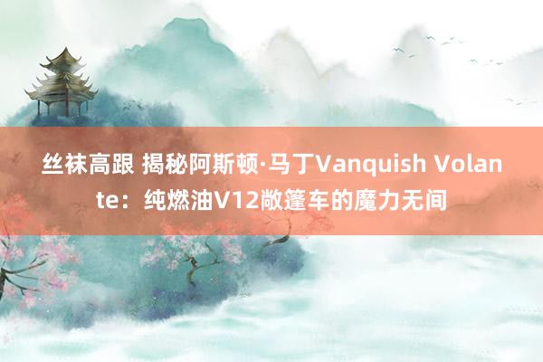 丝袜高跟 揭秘阿斯顿·马丁Vanquish Volante：纯燃油V12敞篷车的魔力无间