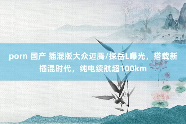 porn 国产 插混版大众迈腾/探岳L曝光，搭载新插混时代，纯电续航超100km