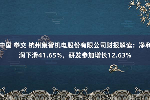 中国 拳交 杭州集智机电股份有限公司财报解读：净利润下滑41.65%，研发参加增长12.63%