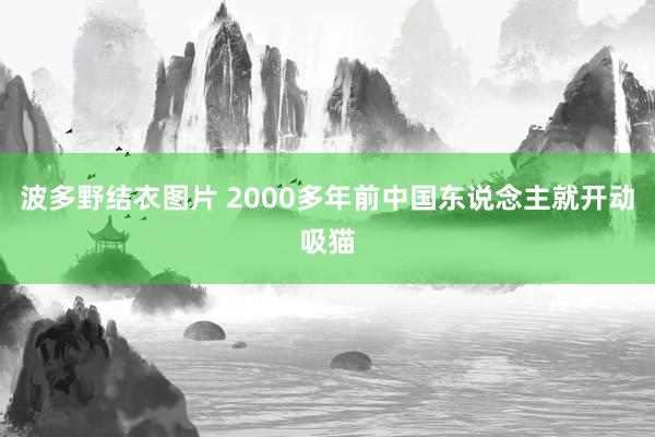 波多野结衣图片 2000多年前中国东说念主就开动吸猫