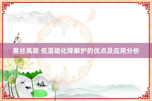 黑丝高跟 低温磁化降解炉的优点及应用分析