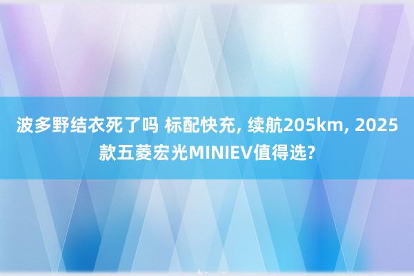 波多野结衣死了吗 标配快充, 续航205km, 2025款五菱宏光MINIEV值得选?