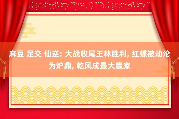 麻豆 足交 仙逆: 大战收尾王林胜利, 红蝶被动沦为炉鼎, 乾风成最大赢家