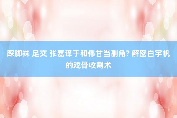踩脚袜 足交 张嘉译于和伟甘当副角? 解密白宇帆的戏骨收割术