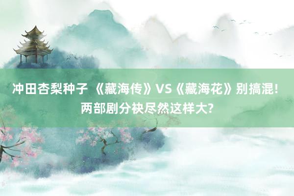 冲田杏梨种子 《藏海传》VS《藏海花》别搞混! 两部剧分袂尽然这样大?