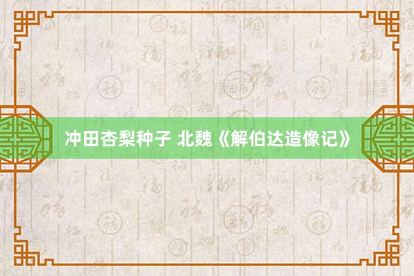 冲田杏梨种子 北魏《解伯达造像记》