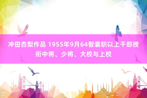 冲田杏梨作品 1955年9月64智囊职以上干部授衔中将、少将、大校与上校