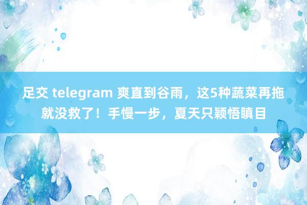 足交 telegram 爽直到谷雨，这5种蔬菜再拖就没救了！手慢一步，夏天只颖悟瞋目