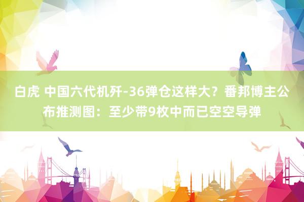 白虎 中国六代机歼-36弹仓这样大？番邦博主公布推测图：至少带9枚中而已空空导弹