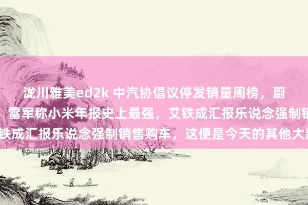 泷川雅美ed2k 中汽协倡议停发销量周榜，蔚来和宁德末端换电配合，雷军称小米年报史上最强，艾铁成汇报乐说念强制销售购车，这便是今天的其他大新闻！