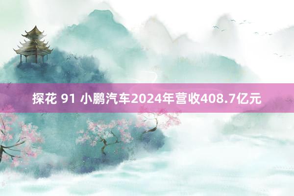 探花 91 小鹏汽车2024年营收408.7亿元
