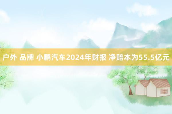 户外 品牌 小鹏汽车2024年财报 净赔本为55.5亿元