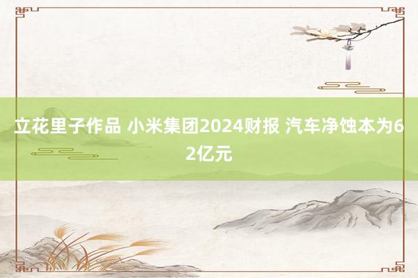 立花里子作品 小米集团2024财报 汽车净蚀本为62亿元