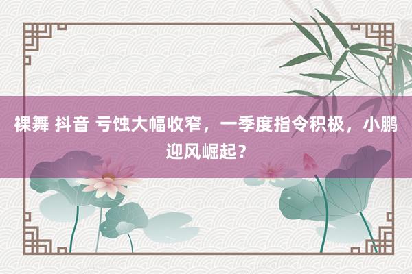 裸舞 抖音 亏蚀大幅收窄，一季度指令积极，小鹏迎风崛起？