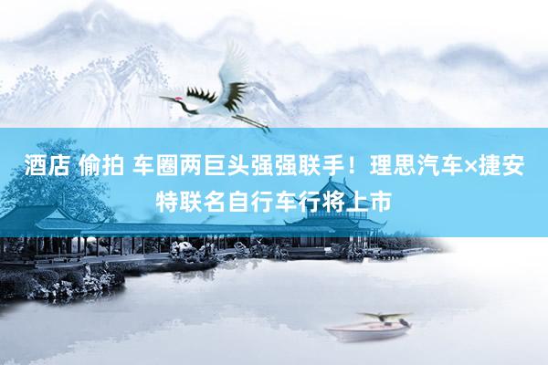 酒店 偷拍 车圈两巨头强强联手！理思汽车×捷安特联名自行车行将上市